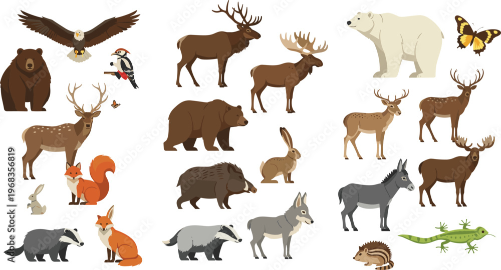 Fototapeta premium Forest animals vector set with bear deer fox wolf elk rabbit eagle and wildlife collection for nature design illustration isolated on white background