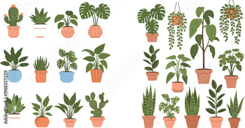 Indoor house plants vector set with potted greenery monstera cactus hanging plants collection for home decor botanical design isolated on white background