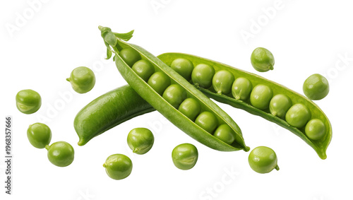 Vibrant green podded peas bursting with fresh round bright green peas, isolated on transparent background for healthy food designs