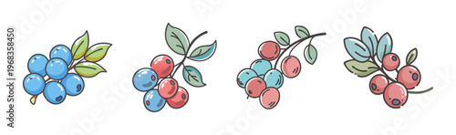 Fresh wild berries and leaves, including blueberries and cranberries, for healthy eating.