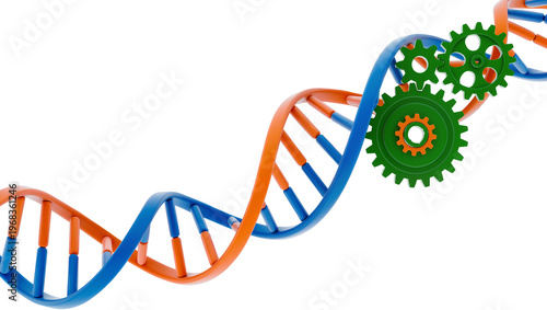 Twisted double helix DNA strand in blue and orange connected to three metallic gears, isolated on transparent background for science concepts