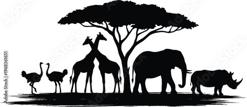 African safari animals silhouette, giraffe elephant rhino ostrich under acacia tree, wildlife landscape vector illustration, nature savanna scene design