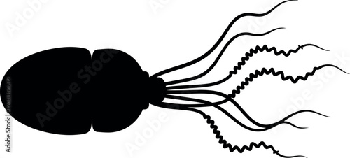 Simple black silhouette of an octopus with flowing tentacles