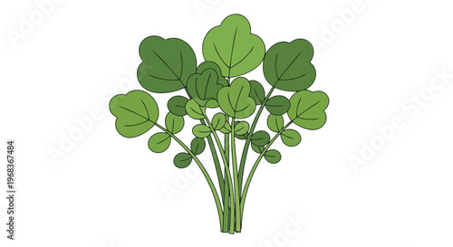 A vibrant illustration of fresh green watercress sprouts on a clean white background showcasing lush foliage and delicate stems
