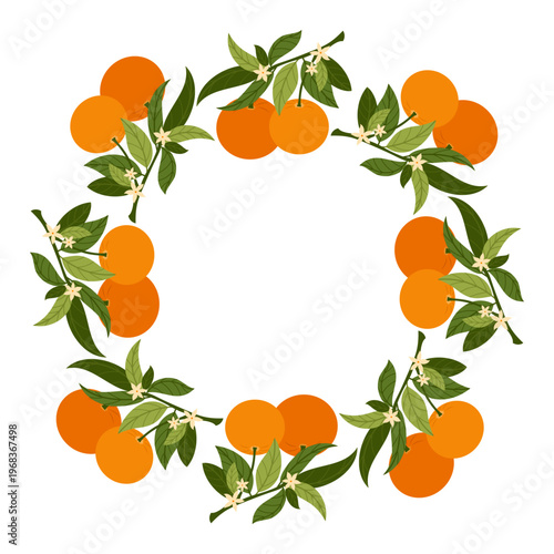 Circle frame with orange citrus fruit, branches with leaves. Round border of fresh juicy citrus isolated on white background. Fruit wreath for food design, packaging, menu, healthy lifestyle themes.