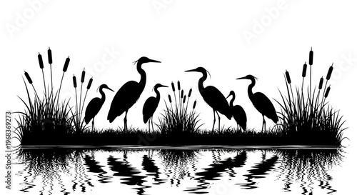 Silhouette of a group of herons standing on a grassy shore with cattails, reflected in calm water against a white background.