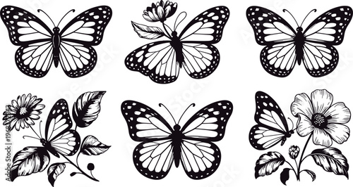 Vector illustration of butterflies with detailed wings and flowers in black and white design