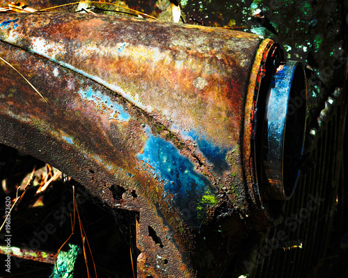 An abandoned car in the Ocala Forest