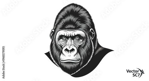 Detailed illustration of a gorilla head.