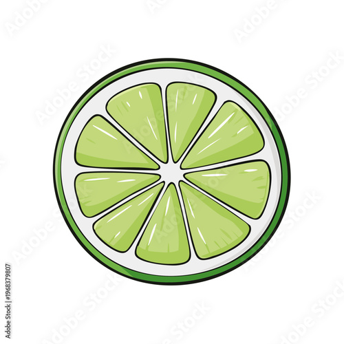 Vibrant cross section of a fresh green lime with juicy segments and white pith illustration