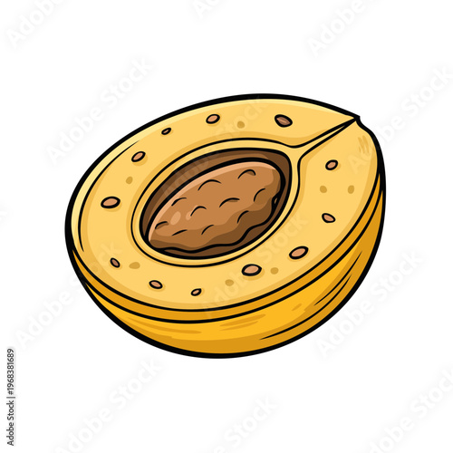 Hand drawn illustration of a halved apricot with visible seed and flesh showing juicy texture