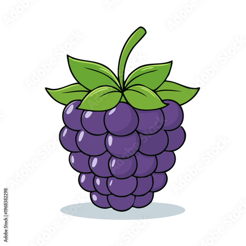 Ripe Juicy Blackberry Fruit with Green Leaves and Shadow Illustration