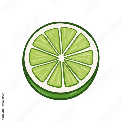 Fresh lime slice illustration with vibrant green segments and white pith