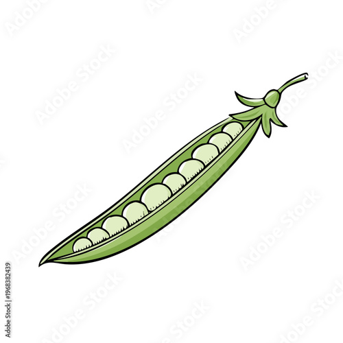 Open pea pod filled with round green peas, hand-drawn illustration