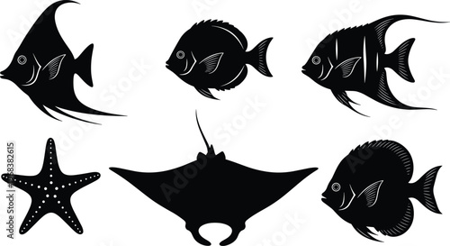 Photography Silhouettes of diverse marine animals including fish, starfish, manta ray, ocean