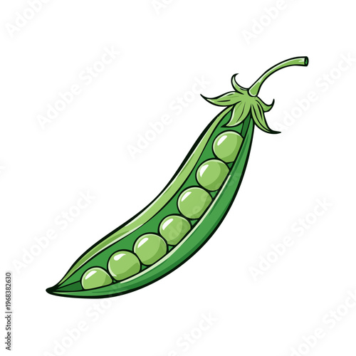 Green Pea Pod with Seeds Illustration