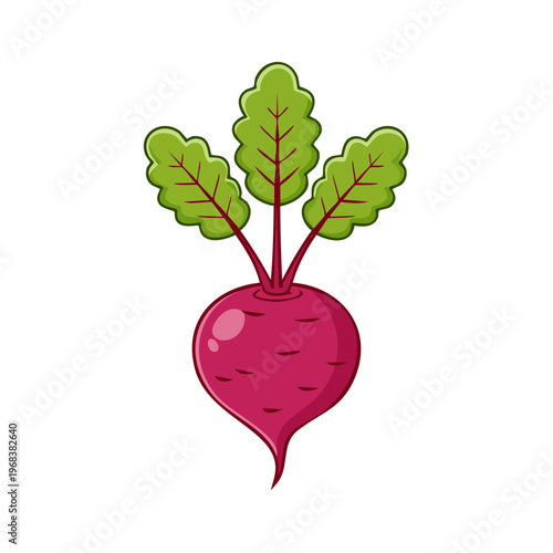 Fresh cartoon beetroot with vibrant green leaves a healthy root vegetable illustration