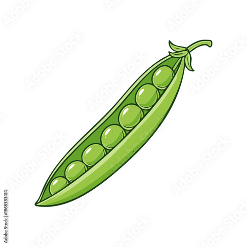 Open pea pod illustration revealing vibrant green peas arranged neatly inside