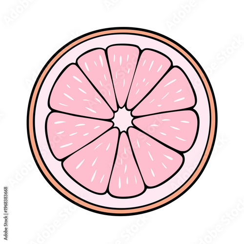 Flat design illustration of a vibrant pink grapefruit slice with segments and rind isolated on white