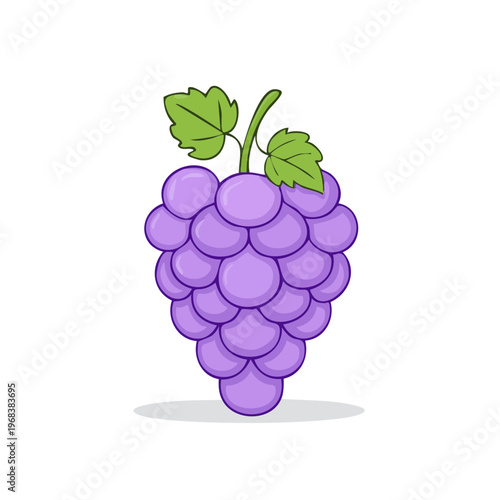 Cluster of ripe purple grapes with green leaves and stem on a light background