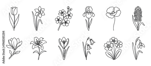 Collection of twelve spring flowers drawn in a minimalist continuous one line art style, featuring tulip, daffodil, iris, poppy, lily, and crocus for a clean elegant design