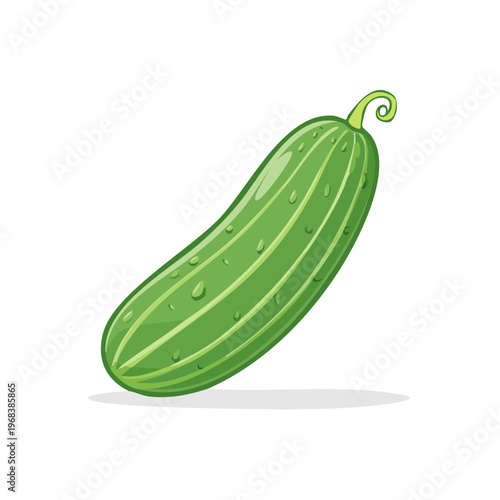 Fresh Green Cucumber with Water Droplets Isolated on White