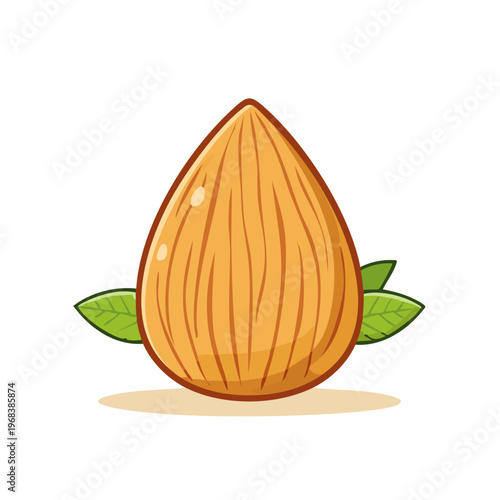 A Single Almond Nut with Green Leaves Detailed Illustration in Warm Tones