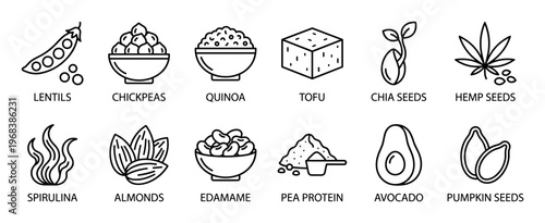Set of twelve vegan protein icons showing various plant-based food sources like tofu, quinoa, and lentils in a clean black and white line art style for healthy diet concepts