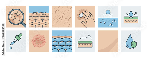 Skincare and dermatology icon set showing skin conditions like dryness and irritation, and cosmetic treatments for hydration, protection, and repair with cream and serum