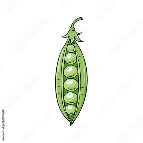 Fresh green pea pod with multiple ripe peas inside, vibrant illustration