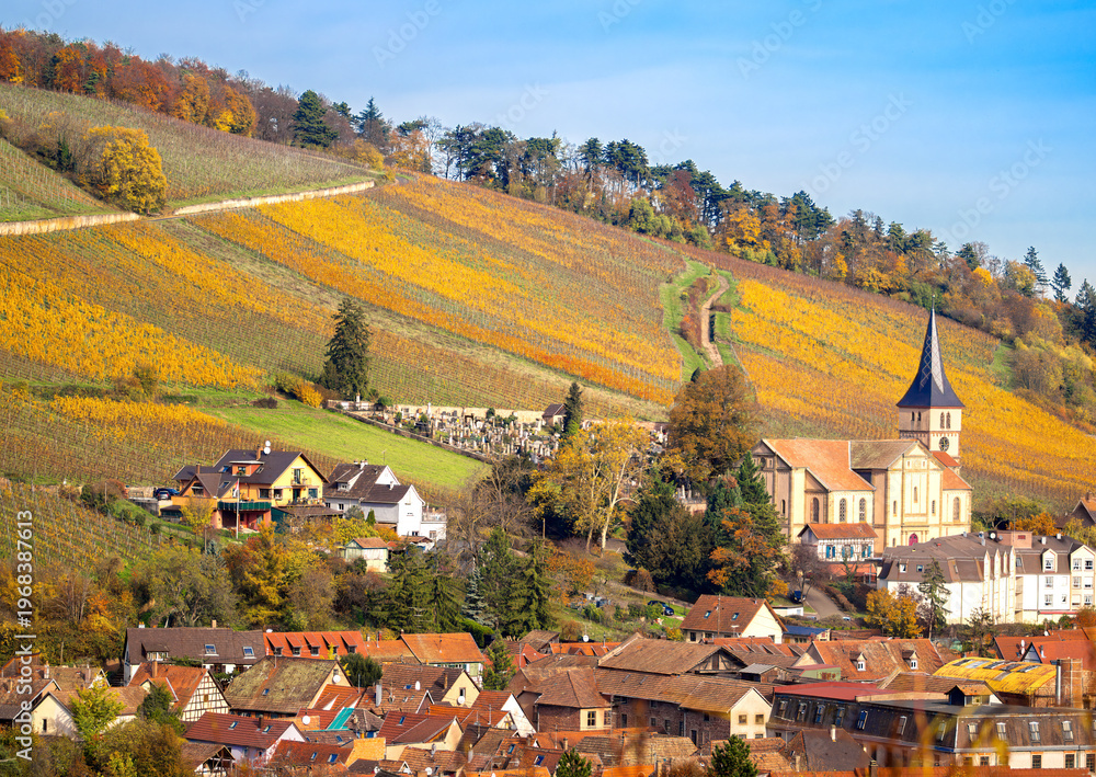 Fototapeta premium Autumn vineyard hills above Barr village in Alsace, France
