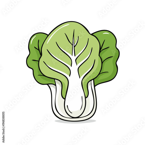 Fresh Bok Choy Vegetable Illustration Healthy Leafy Green Food Ingredient Cartoon Style