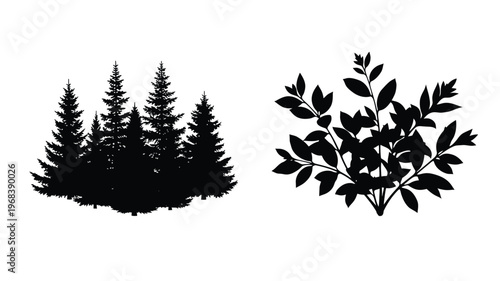Black silhouettes of coniferous and deciduous trees against a white background silhouette
