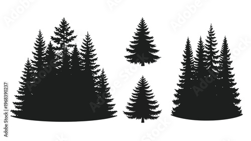 A collection of coniferous trees depicted in stark black silhouette