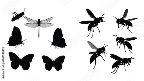 Collection of detailed insect silhouettes against a white background