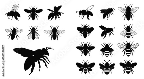 Variety of bee shapes and sizes displayed as a black silhouette
