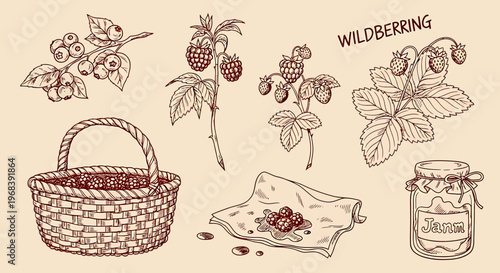 Wildberry outline sketch vector illustration of a basket and leaves on a napkin