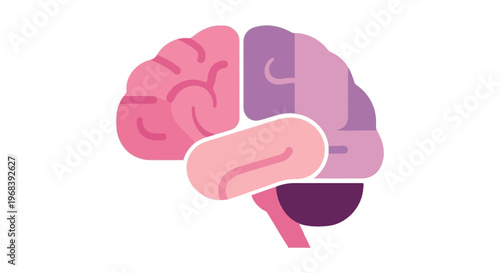 Brain Illustration with Colorful Sections. Vector Icon. EPS Editable