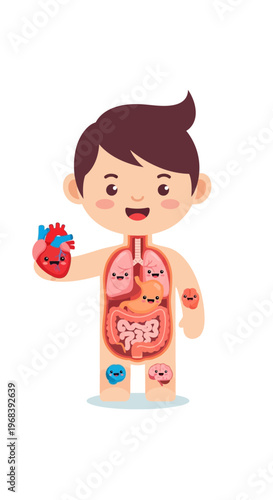 Cartoon boy with human inner organs. Vector Icon. EPS Editable