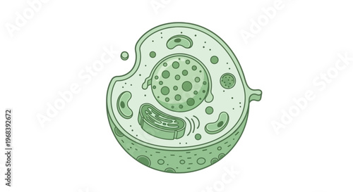 Detailed illustration of a cell structure. Vector Icon. EPS Editable