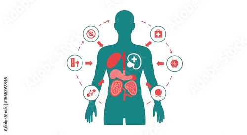 Human Body Internal Organ Anatomy 3. Vector Icon. EPS Editable