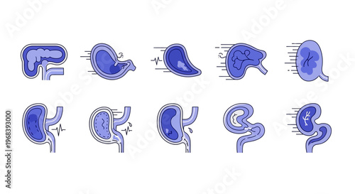 Human Kidney Anatomy Medical Illustration 1. Vector Icon. EPS Editable