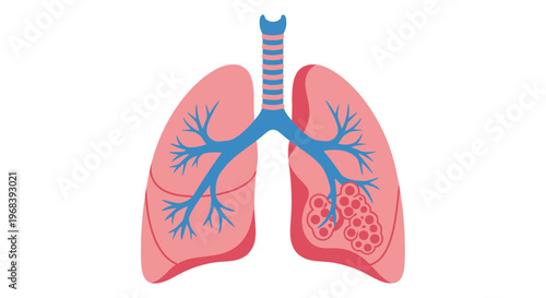 Human lungs with trachea and bronchi. Vector Icon. EPS Editable