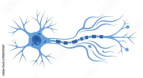 Neuron cell with dendrites and axon 1. Vector Icon. EPS Editable