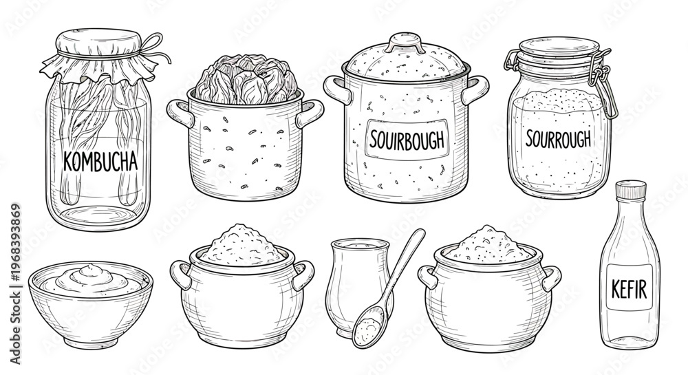 Fototapeta premium An outline sketch vector illustration of various fermentation vessels and food items on a table
