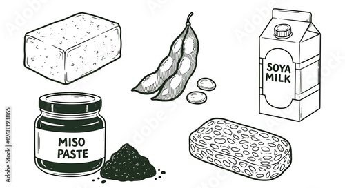 An outline sketch vector illustration of various soy foods including tofu, miso paste, and soya milk.