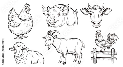 An outline sketch vector illustration of farm animals including a chicken, pig, cow, sheep, goat, and rooster in a rural setting.