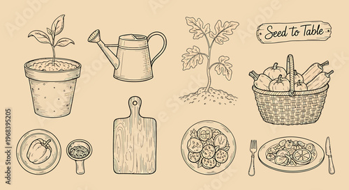 An outline sketch vector illustration of a gardening scene with a basket of vegetables and a plate of food