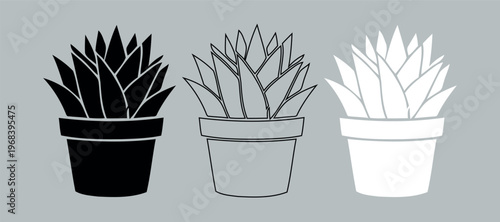 Minimalist succulent plant icons, set of 3 potted aloe vera vectors, black and white botanical silhouettes for web design and branding