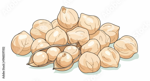 Pile of whole chickpeas on white background, showing individual garbanzo beans and one open pod revealing raw legumes inside. Fresh chickpeas illustration for healthy eating, cooking ingredient,